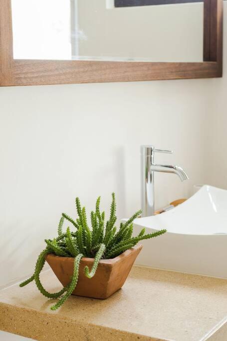 Neem 31 Comfortable, Luxury Apartment 10 Min To The Beach ตูลุม ภายนอก รูปภาพ